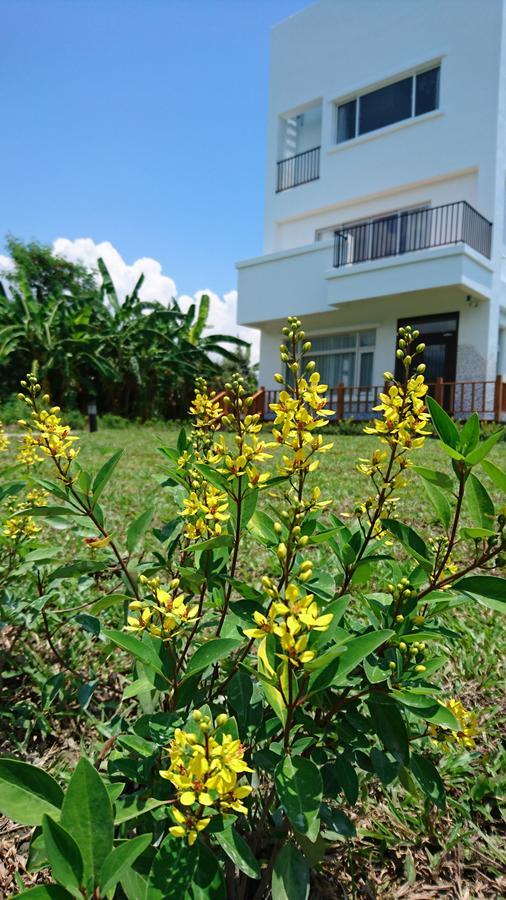 Marsu Xincheng B&B Xincheng Township Eksteriør bilde